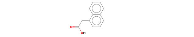 ۱-نفتالین استیک اسید